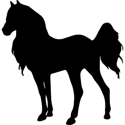 pferd stehend junge tierform des langen haares icon