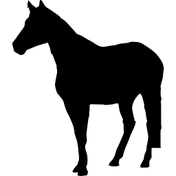 cavalo em pé silhueta negra Ícone