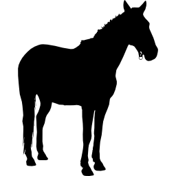 pferd stehend schwarze silhouette nach rechts icon