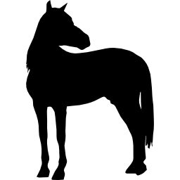 pferd stehend schwarze silhouette mit dem kopf gedreht, der zur rechten seite schaut icon