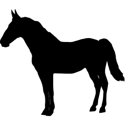 cavalo preto em pé, voltado para a esquerda Ícone