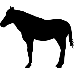 pferd, das schwarze form von der seitenansicht steht icon