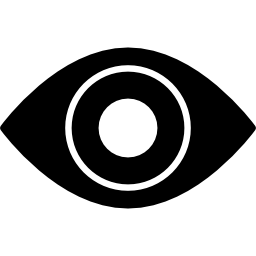 símbolo del ojo de vigilancia icono