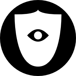 simbolo di sorveglianza di un occhio su uno scudo in un cerchio icona