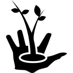mano del giardiniere con una pianta in crescita su di esso icona