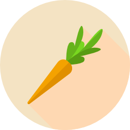 Healthy food icon