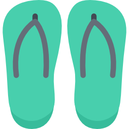 Flip flops icon