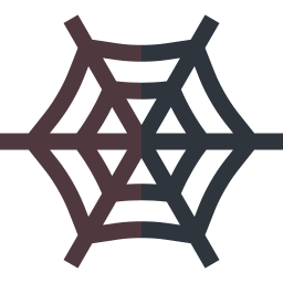 Spiderweb icon