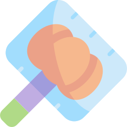 Lollipop icon