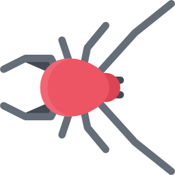 Spider icon