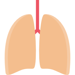 polmoni icona
