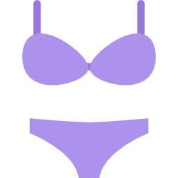 lingerie Icône