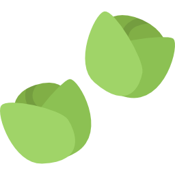 Brussels sprouts icon