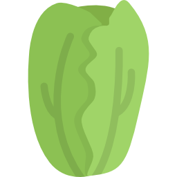 Cabbage icon