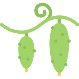 komkommers icoon