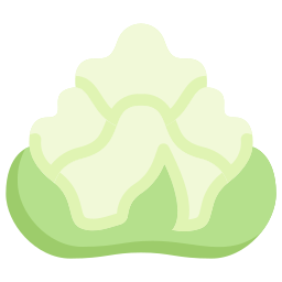 brokuły romańskie ikona
