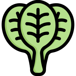 Spinach icon