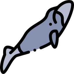 balena della groenlandia icona