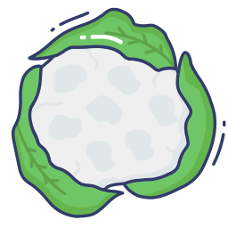 Cauliflower icon