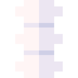 columna vertebral icono