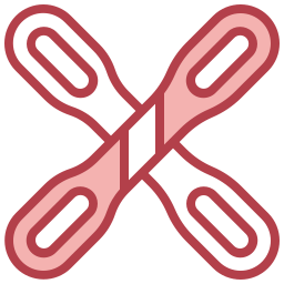 esquí icono