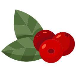 Berries icon