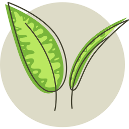 Leaf icon