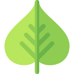 菩提樹の葉 icon