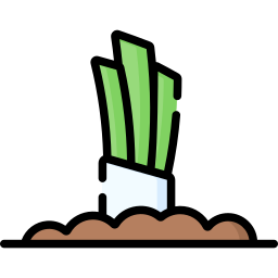 Onion icon