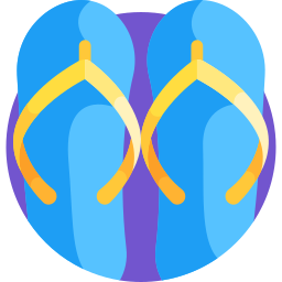 Flip flops icon