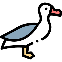 albatros icono