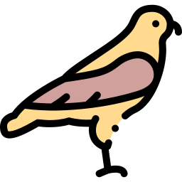 falco icona