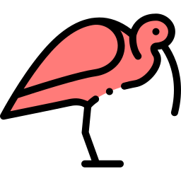 ibis ikona