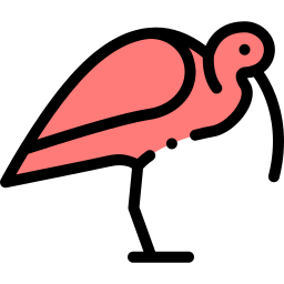 ibis icon