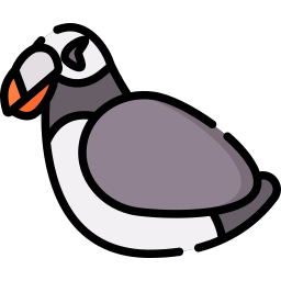 puffin Ícone