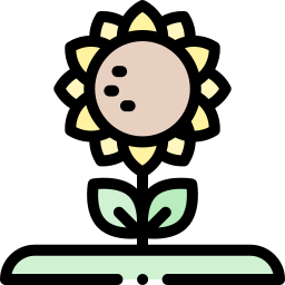 Sunflower icon