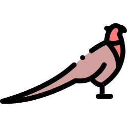 fazant icoon