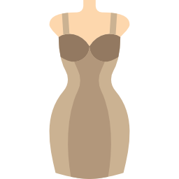 kleid icon