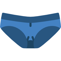 Panties icon