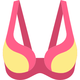 Brassiere icon