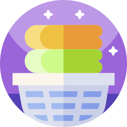 Laundry service icon