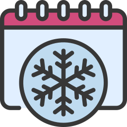 Winter flake icon