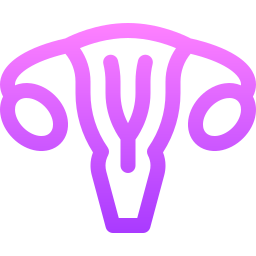 자궁 icon