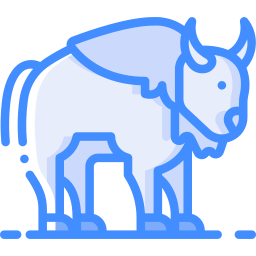 Buffalo icon