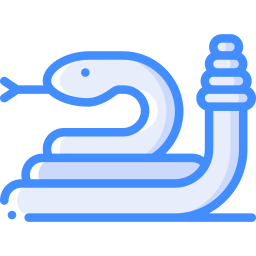 Snake icon