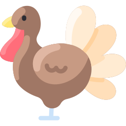 Turkey icon