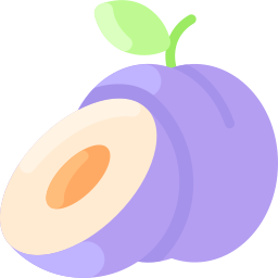 Plum icon