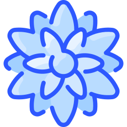 chrysantheme icon