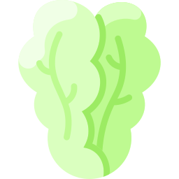 Cabbage icon