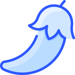 Chili pepper icon